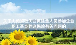 关于大龄领取失业保险金人员参加企业职工基本养老保险有关问题的