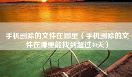 手机删除的文件在哪里(手机删除的文件在哪里能找到超过30天)