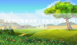 手机钢化膜多少钱（手机钢化膜多少钱一个呀）