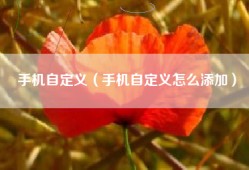 手机自定义（手机自定义怎么添加）
