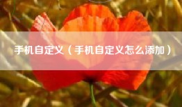 手机自定义（手机自定义怎么添加）