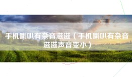 手机喇叭有杂音滋滋（手机喇叭有杂音滋滋声音变小）
