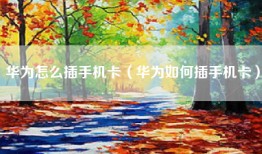 华为怎么插手机卡（华为如何插手机卡）