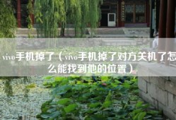 vivo手机掉了（vivo手机掉了对方关机了怎么能找到他的位置）