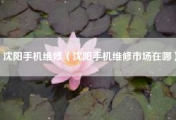 沈阳手机维修（沈阳手机维修市场在哪）