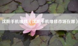 沈阳手机维修（沈阳手机维修市场在哪）