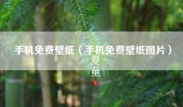 手机免费壁纸（手机免费壁纸图片）