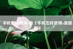手机怎样使用u盘（手机怎样使用u盘图解）