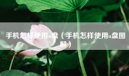 手机怎样使用u盘(手机怎样使用u盘图解)