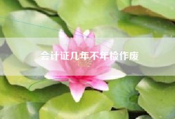 会计证几年不年检作废