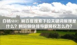 白杨SEO：刷百度搜索下拉关键词原理是什么？网站做快排导致降权怎么办？