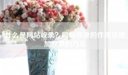 什么是网站收录？网站收录的作用及增加收录的方法