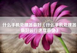 什么手机处理器最好（什么手机处理器最好运行速度最快）
