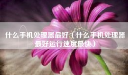 什么手机处理器最好（什么手机处理器最好运行速度最快）