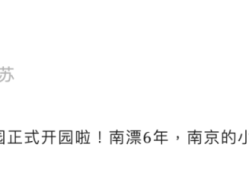 小米南京“买房”，雷军官宣