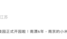 小米南京“买房”，雷军官宣