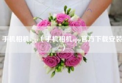 手机相机app（手机相机app官方下载安装）