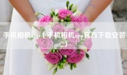 手机相机app（手机相机app官方下载安装）