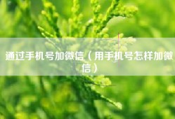 通过手机号加微信（用手机号怎样加微信）