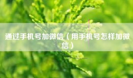 通过手机号加微信（用手机号怎样加微信）