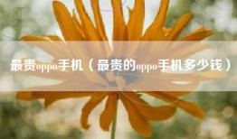 最贵oppo手机（最贵的oppo手机多少钱）