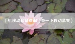 手机移动套餐查询（查一下移动套餐）