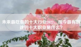 未来最吃香的十大行业2022、现今最有前途的十大职业是什么？