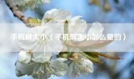 手机屏大小（手机屏大小怎么量的）