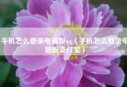 手机怎么登录电脑版qq（手机怎么登录电脑版支付宝）