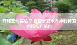 网络营销要趁早 看看宁夏东方神豹特卫网络推广效果