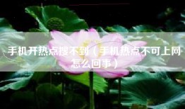 手机开热点搜不到（手机热点不可上网怎么回事）
