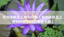 华为手机怎么呼叫转移（华为手机怎么呼叫转移到别的电话上面）