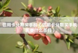 信用卡分期买手机（信用卡分期买手机需要什么条件）