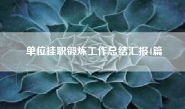 单位挂职锻炼工作总结汇报4篇