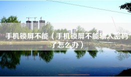 手机锁屏不能（手机锁屏不能输入密码了怎么办）