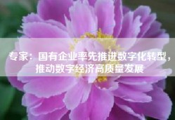 专家：国有企业率先推进数字化转型，推动数字经济高质量发展