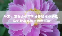 专家：国有企业率先推进数字化转型，推动数字经济高质量发展