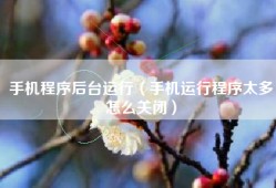 手机程序后台运行（手机运行程序太多怎么关闭）