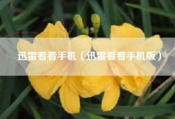 迅雷看看手机（迅雷看看手机版）