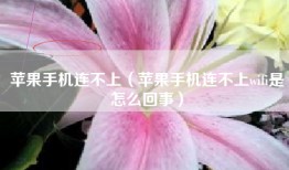 苹果手机连不上（苹果手机连不上wifi是怎么回事）