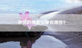 常见的搜索引擎有哪些？