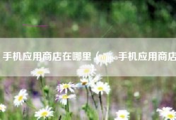 手机应用商店在哪里（oppo手机应用商店）