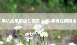 手机应用商店在哪里（oppo手机应用商店）
