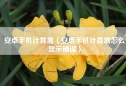 安卓手机计算器（安卓手机计算器怎么显示错误）