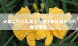 安卓手机计算器（安卓手机计算器怎么显示错误）