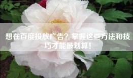 想在百度投放广告？掌握这些方法和技巧才能最划算！