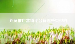 外贸推广营销平台有哪些类型的