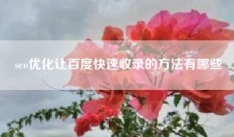 seo优化让百度快速收录的方法有哪些