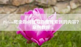 Python爬虫如何提取百度搜索到的内容？案例教你