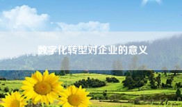 数字化转型对企业的意义